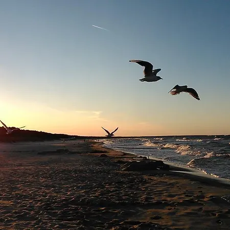 Holiday home Ferienbungalow Mondfisch An Der Ostsee
