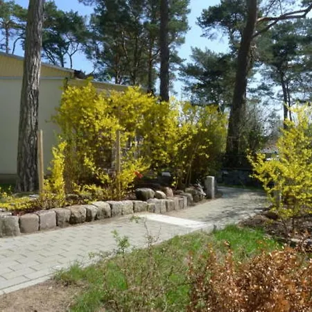 בית נופש Ferienbungalow Mondfisch An Der Ostsee צינוביץ